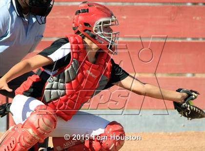 Thumbnail 3 in Gladstone vs Wilson photogallery.