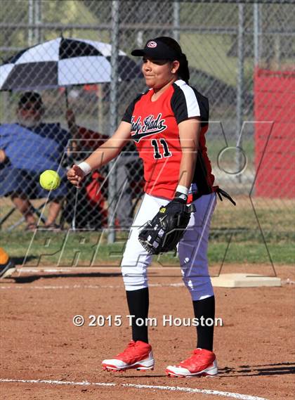 Thumbnail 3 in Gladstone vs Wilson photogallery.