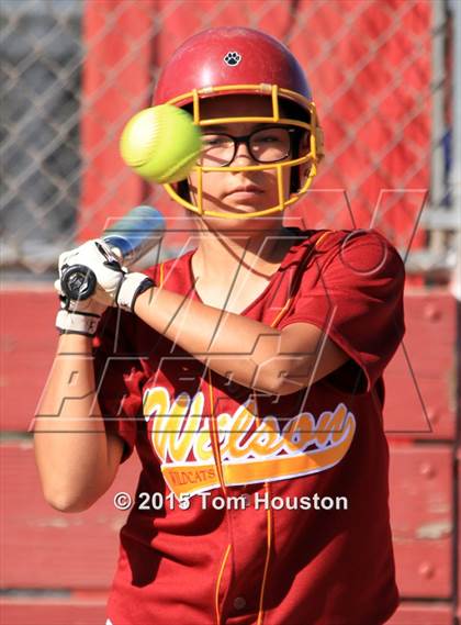 Thumbnail 3 in Gladstone vs Wilson photogallery.