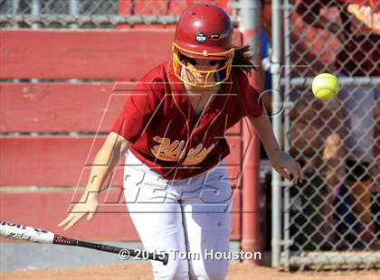 Thumbnail 3 in Gladstone vs Wilson photogallery.