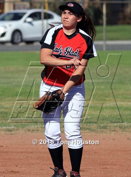 Thumbnail 3 in Gladstone vs Wilson photogallery.