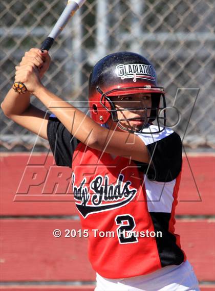 Thumbnail 3 in Gladstone vs Wilson photogallery.