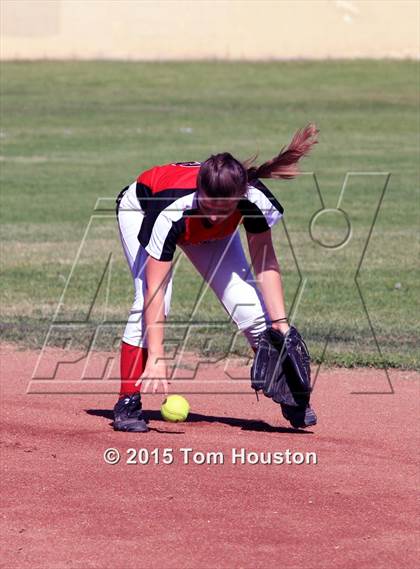 Thumbnail 3 in Gladstone vs Wilson photogallery.