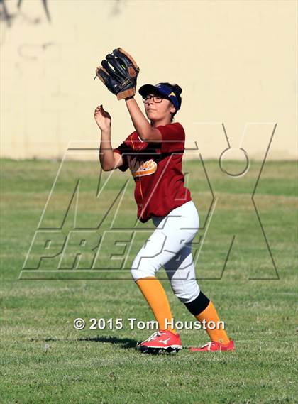 Thumbnail 2 in Gladstone vs Wilson photogallery.