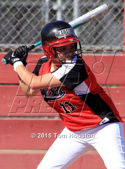 Thumbnail 2 in Gladstone vs Wilson photogallery.