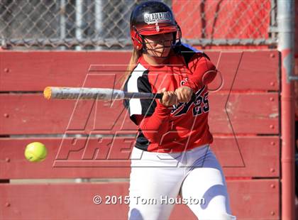 Thumbnail 2 in Gladstone vs Wilson photogallery.