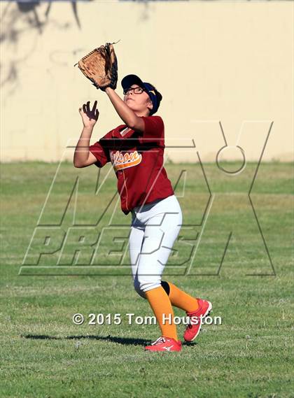Thumbnail 3 in Gladstone vs Wilson photogallery.