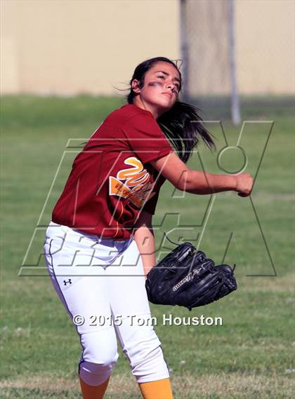 Thumbnail 3 in Gladstone vs Wilson photogallery.