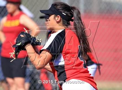 Thumbnail 3 in Gladstone vs Wilson photogallery.