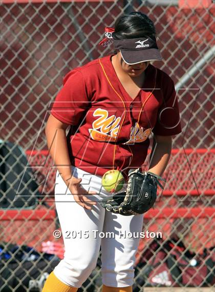 Thumbnail 2 in Gladstone vs Wilson photogallery.