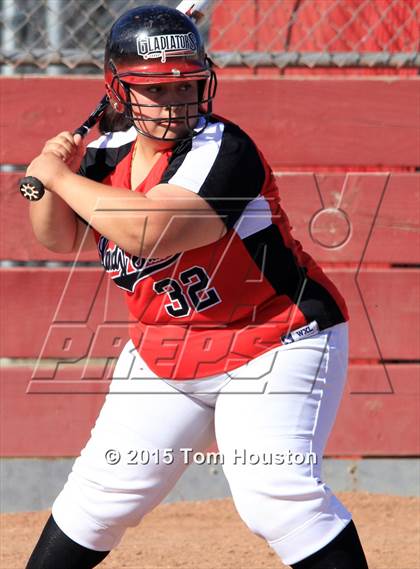 Thumbnail 3 in Gladstone vs Wilson photogallery.