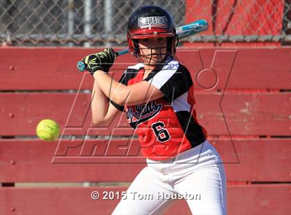 Thumbnail 3 in Gladstone vs Wilson photogallery.