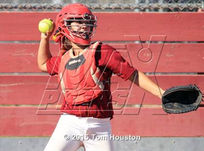 Thumbnail 3 in Gladstone vs Wilson photogallery.