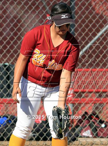Thumbnail 3 in Gladstone vs Wilson photogallery.