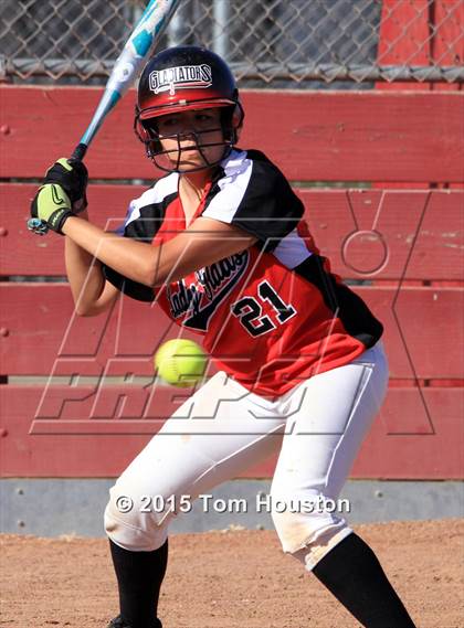 Thumbnail 1 in Gladstone vs Wilson photogallery.