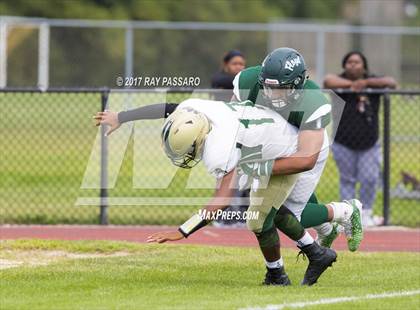 Thumbnail 2 in Longwood @ William Floyd photogallery.