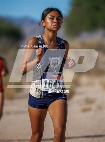 Thumbnail 3 in NIAA 4A  Mountain League Regionals photogallery.