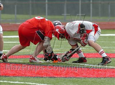 Thumbnail 3 in Cheshire @ Conard photogallery.