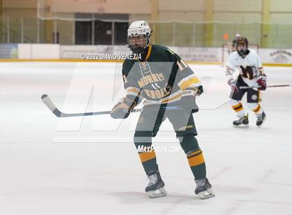 Thumbnail 2 in Madison @ Morris knolls photogallery.