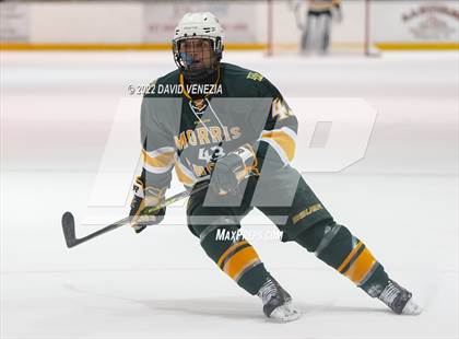 Thumbnail 1 in Madison @ Morris knolls photogallery.