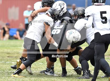 Thumbnail 3 in Servite @ Villa Park photogallery.