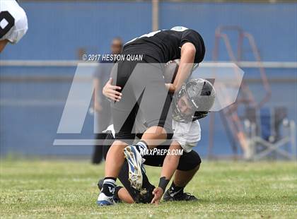 Thumbnail 3 in Servite @ Villa Park photogallery.