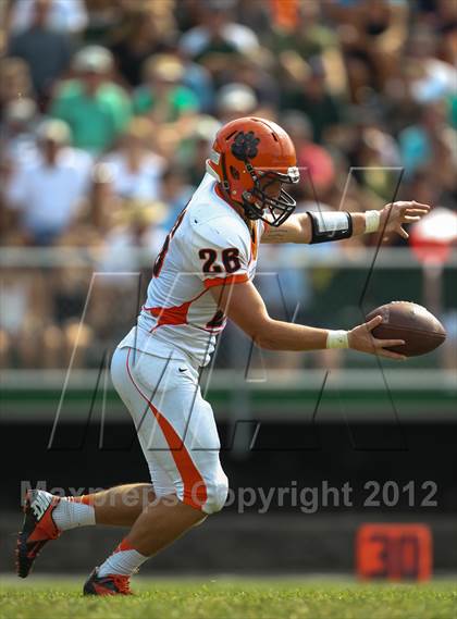 Thumbnail 1 in Wheaton-Warrenville South @ Glenbard West photogallery.