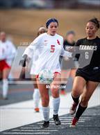 Photo from the gallery "Liberty @ Palmer"