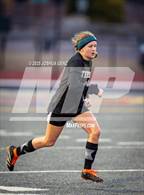 Photo from the gallery "Liberty @ Palmer"