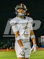 Photo from the gallery "Rouse @ Glenn"