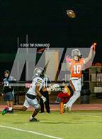 Photo from the gallery "Rouse @ Glenn"
