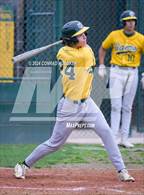 Photo from the gallery "Muir @ Temple City"