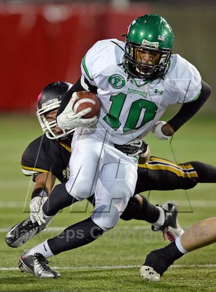 Thumbnail 2 in Sachem North vs. Farmingdale (Long Island Class I Final) photogallery.