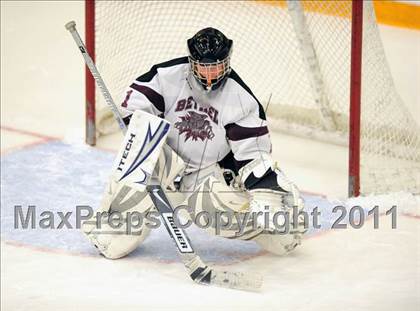 Thumbnail 1 in New Milford @ Brookfield/Bethel/Danbury photogallery.