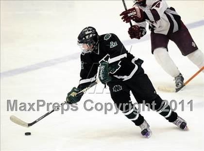 Thumbnail 1 in New Milford @ Brookfield/Bethel/Danbury photogallery.