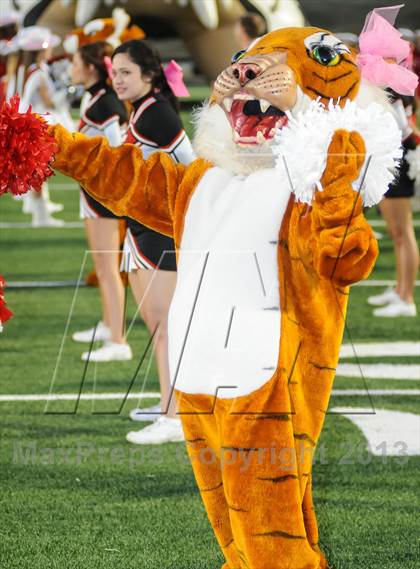 Thumbnail 1 in Terrell @ Poteet photogallery.