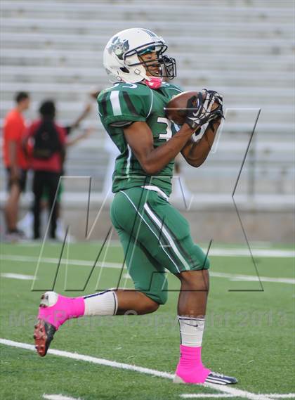 Thumbnail 1 in Terrell @ Poteet photogallery.