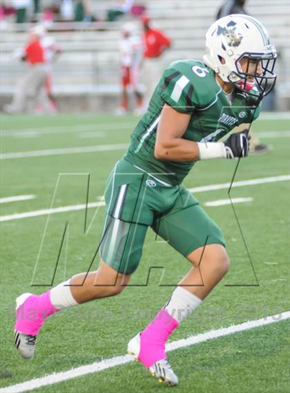Thumbnail 2 in Terrell @ Poteet photogallery.