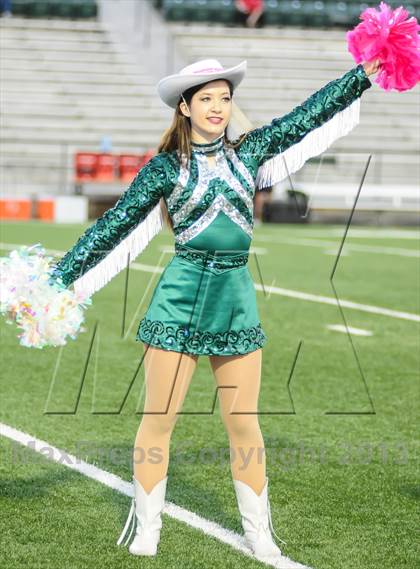 Thumbnail 3 in Terrell @ Poteet photogallery.