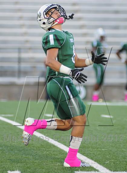 Thumbnail 2 in Terrell @ Poteet photogallery.