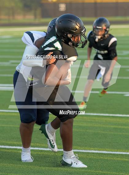 Thumbnail 3 in Freeman @ Tomas photogallery.