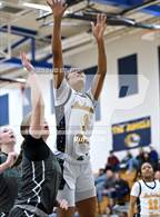 Photo from the gallery "Ponderosa @ Inderkum"