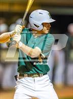 Photo from the gallery "Southern Lee @ Pinecrest"