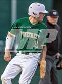 Photo from the gallery "Southern Lee @ Pinecrest"