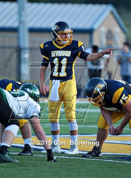 Thumbnail 3 in Greeneville @ Seymour photogallery.