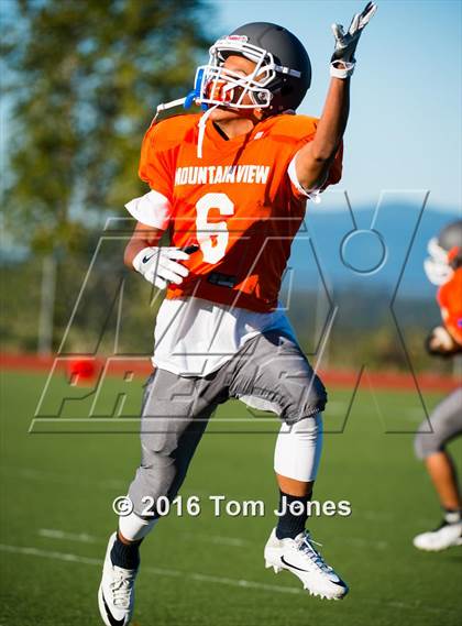 Thumbnail 3 in Lincoln @ Auburn Mountainview photogallery.