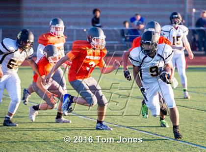 Thumbnail 3 in Lincoln @ Auburn Mountainview photogallery.