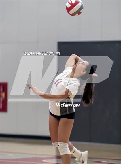 Thumbnail 2 in Churchill County vs. Truckee photogallery.