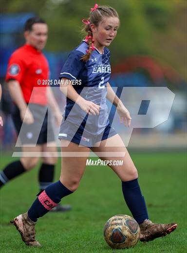 null - Photo 41