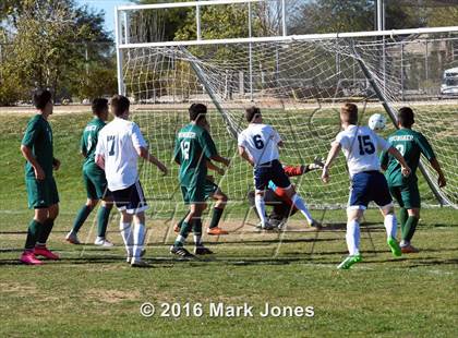 Thumbnail 3 in Glendale Prep Academy vs. Youngker (AIA D4 Quarterfinal) photogallery.